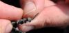 Tungsten Putty Holder Strategy 