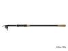 Prut Delphin Torrax 3,3m 100g