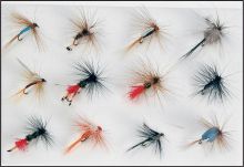 Sada mušek Fly 12ks