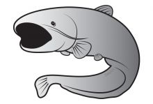 Nálepka Sumec SILVER